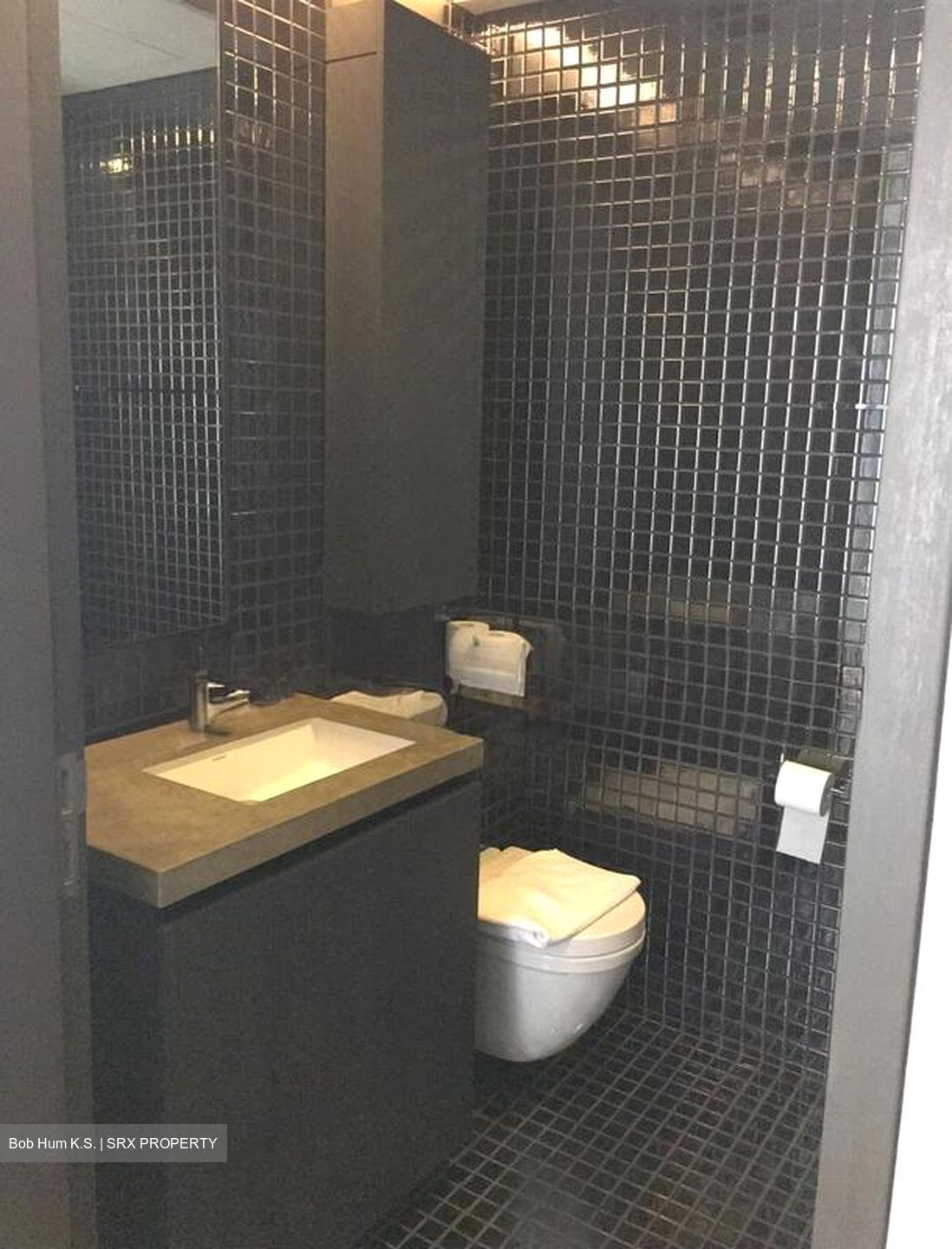 Skysuites@Anson (D2), Apartment #524927391